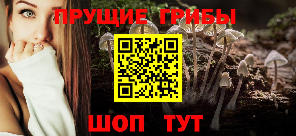 Псилоцибиновые грибы Magic Shrooms  Вход с VPN  Астрахань 